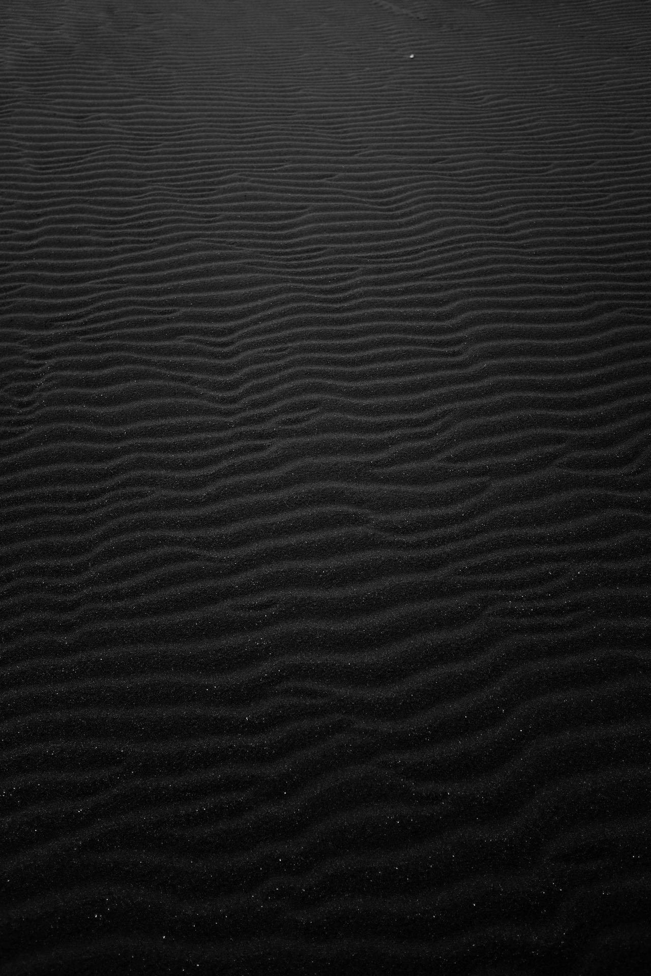 grayscale photography of sand